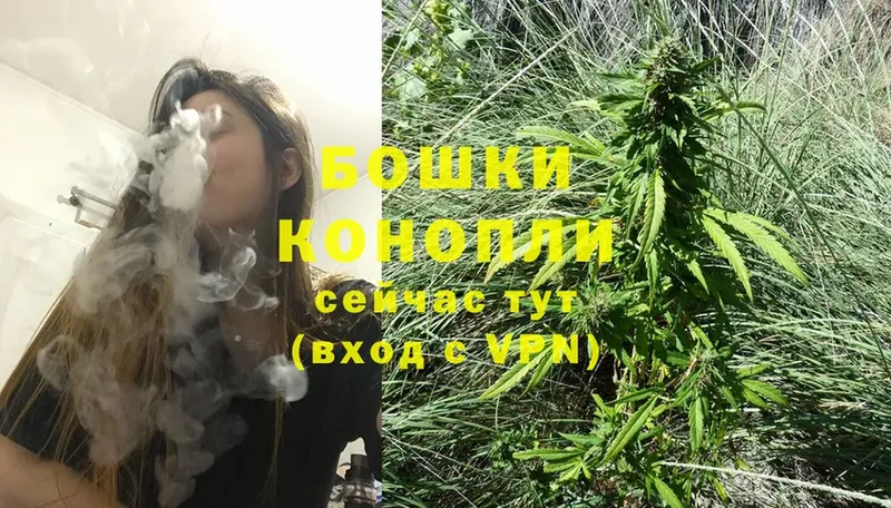 Шишки марихуана White Widow  Кинешма 